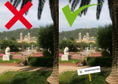 VENENO EN LOS PARQUES