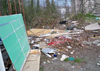 Vergonzoso Sr. Elorza