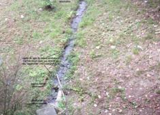 VERTIDOS ANTI-NATURALEZA