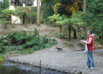 ¿Vigilancia en Cristina Enea?