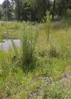 Zandardegui, abandonado