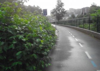 Abandono de la ciudad