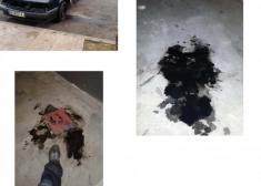 Delito medioambiental