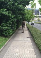 Árboles en la acera, ¿a qué están esperando?