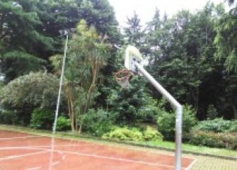 Basket en Amara Nuevo