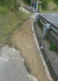 Musgo en la acera en Donostia