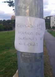 Veneno en Riberas de Loiola
