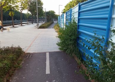 lucha por el bidegorri.