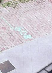 Pintadas en el río Urumea