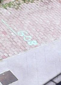 Pintadas en el río Urumea