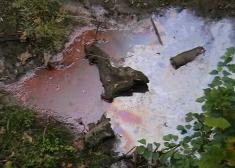 Contaminando el Urumea