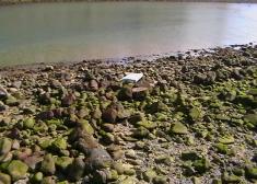 Echamos un siestorro