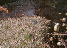 Una rueda de camión