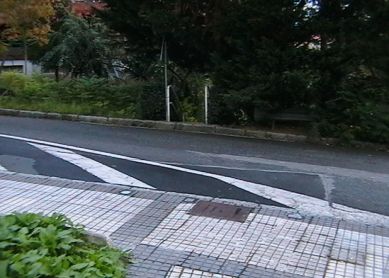 Paso de cebra imaginario