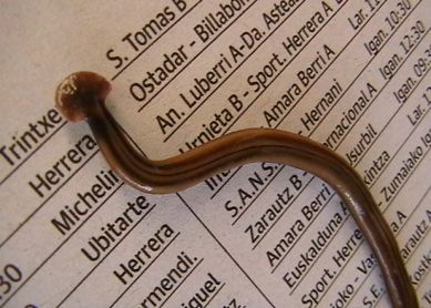 Cuidado con este bicho