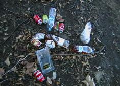 Civismo y puerta a puerta