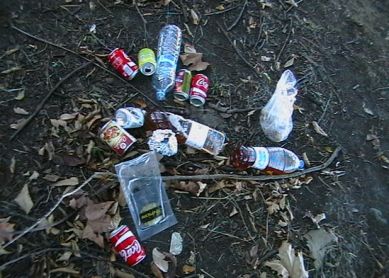 Civismo y puerta a puerta