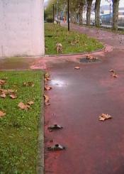 Largo recorrido sin papeleras