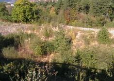 Más plumones de Pampa