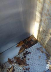 Baños públicos sin cuidar