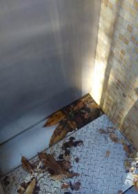 Baños públicos sin cuidar