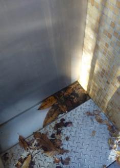 Baños públicos sin cuidar