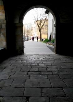 Las mutaciones de Zumarraga