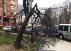 Esperando a que se recoja