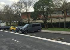 Sin árboles en el Campus