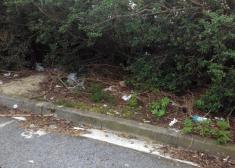 Basura en Aiete