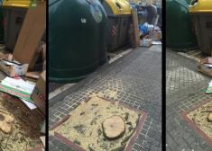 Ecologia y reciclaje