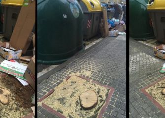 Ecologia y reciclaje