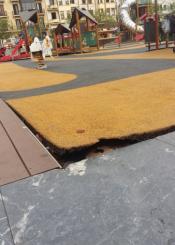 Peligro en el parque