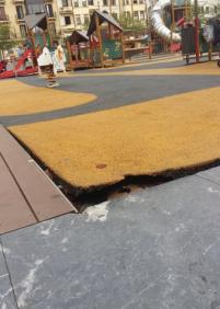 Peligro en el parque