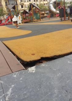 Peligro en el parque