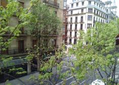 Poda árboles 6:00 a.m.