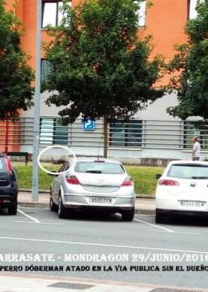 Cuando van hacer que se cumpla la normativa las Autoridades en Arrasate-Mondragon