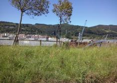 En Errenteria la hierba no se corta