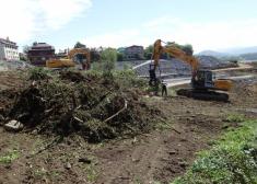 Tala de arboles en alto de Morlans