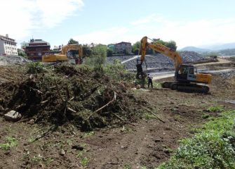 Tala de arboles en alto de Morlans