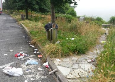 Basuras en Berastegi