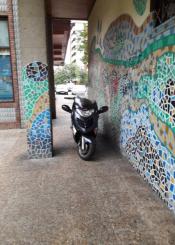 Justo en medio del paso