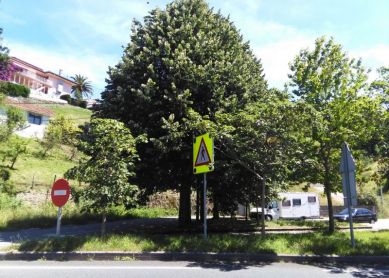 Mutriku, imprudencia e irresponsabilidad