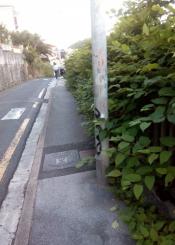 Dejadez en Calzada de Egia