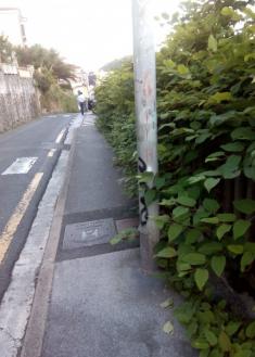 Dejadez en Calzada de Egia