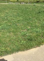 Falta de mantenimiento y dejadez