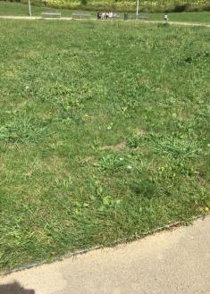 Falta de mantenimiento y dejadez