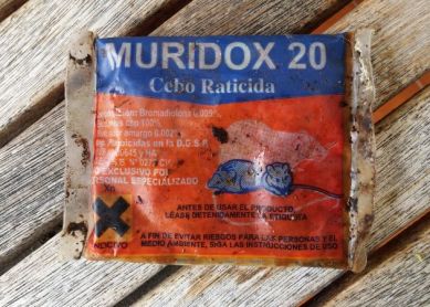 raticida en parque público del Antiguo