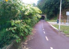 Abandono total de los parques