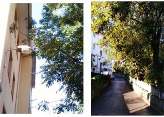 Poda urgente en Irurak